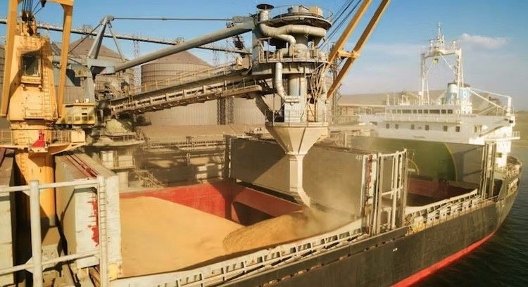 Russia's expanding role in Africa's food security