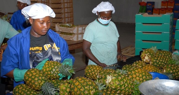 Editorial: Heightened bureaucracy scaring off MSMEs from certification