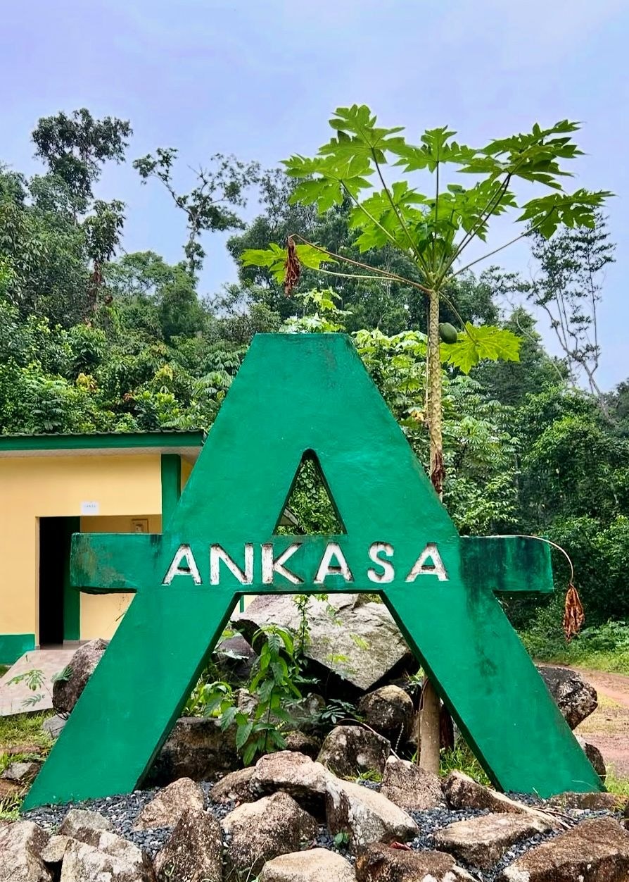 Roadmap inspiring cultural institutions: Switch off, retreat and reconnect at Ankasa’s nature sanctuary for some self-love