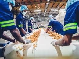 Boom in food processing sector deepens reliance on imports, risks cedi pressure