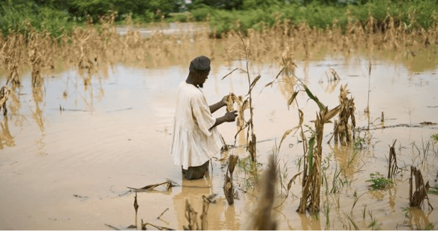 National Farmers’ Day – A celebration built on poisoned soil and toxic rivers