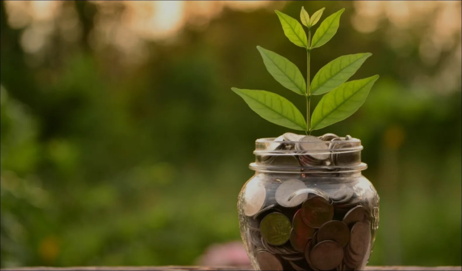 Contemporary management for sustainability of SMEs