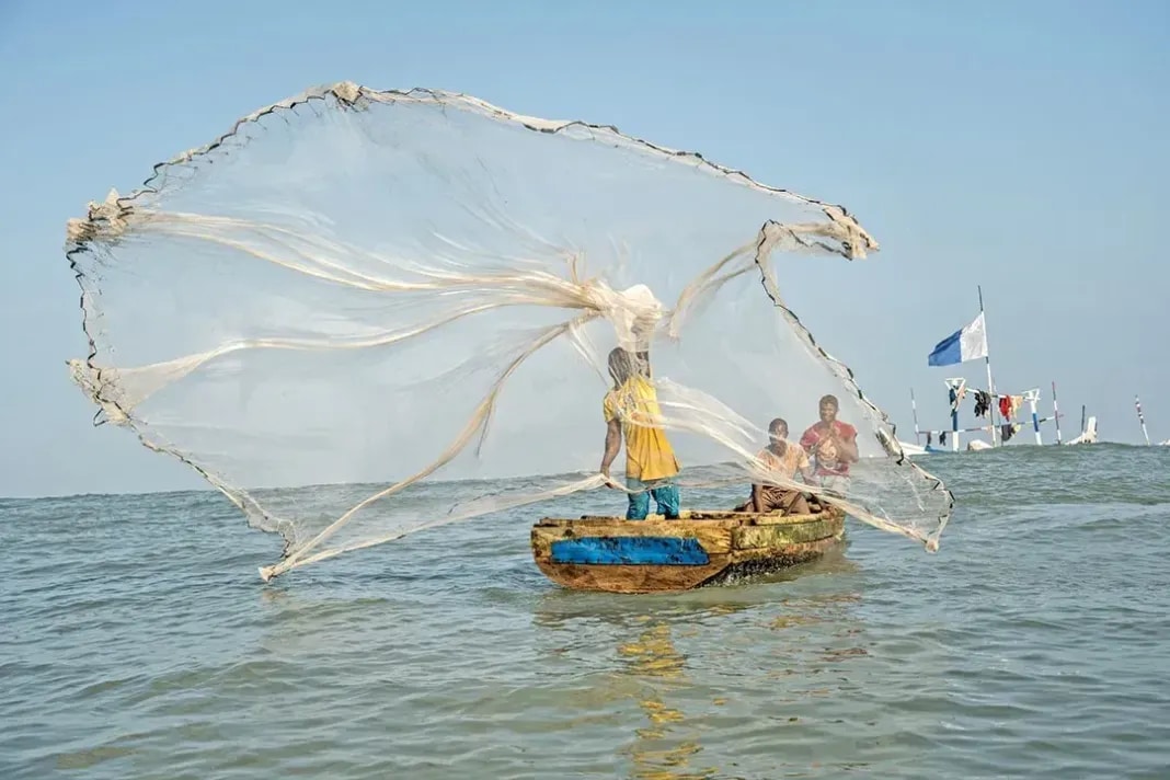The Gulf Corridor: Climate resilience and the future of West African fisheries