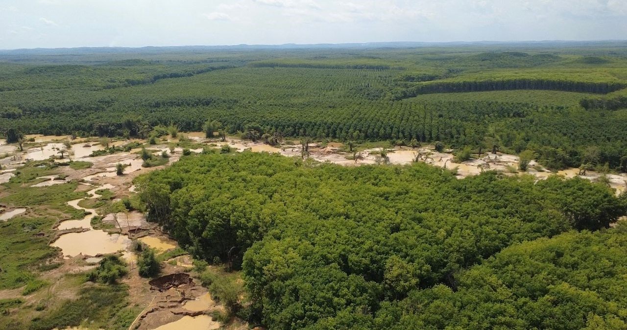 RESEC pushes for swift illegal mining prosecutions