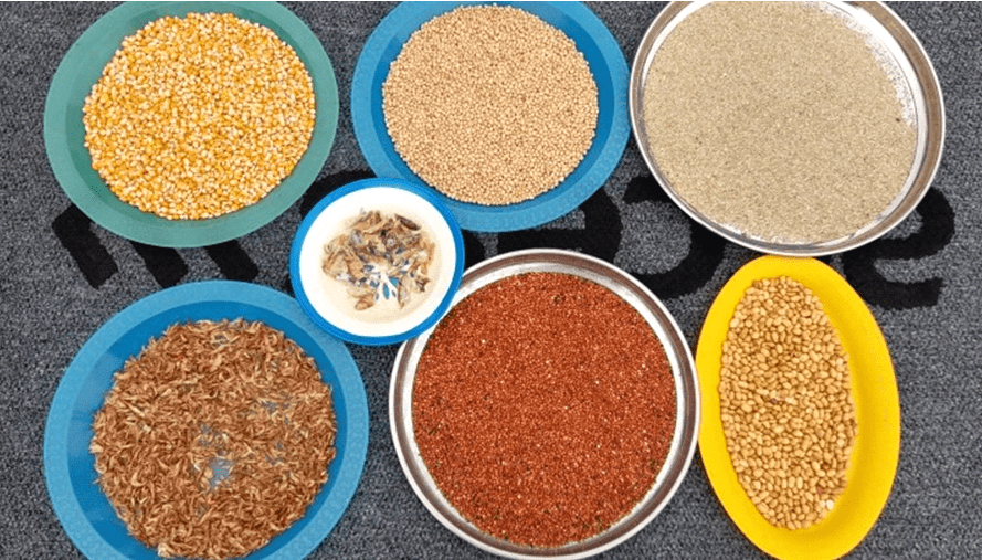 Editorial: Elevated contamination levels in locally-produced cereals disturbing