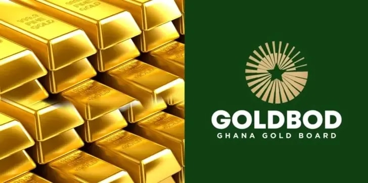 From export earnings to life-changing care: How GoldBod’s Special Intervention Programme turns gold into hope