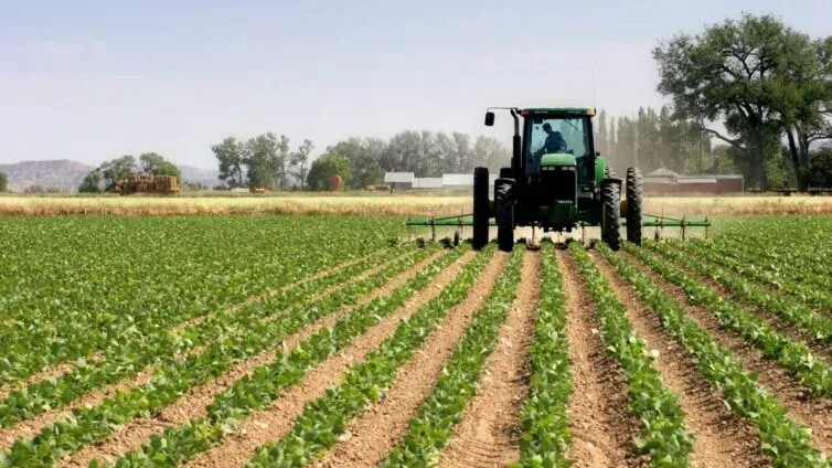 Less talk, More action: Turning Ghana’s horticulture potential into investment