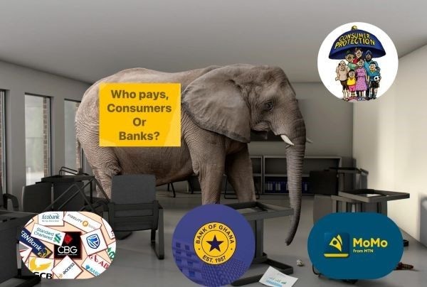 Elephant in the room: Wallet to account transfer fees, who should pay - consumers or banks?