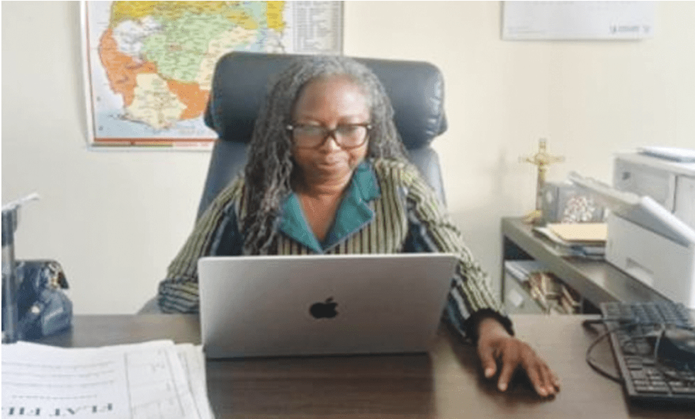 NIC to leverage 'susu' model to drive insurance uptake in informal sector