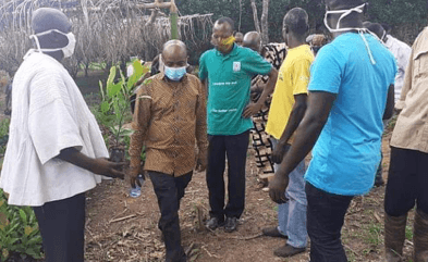 300,000 cashew seedlings to be distributed to farmers in Dormaa East