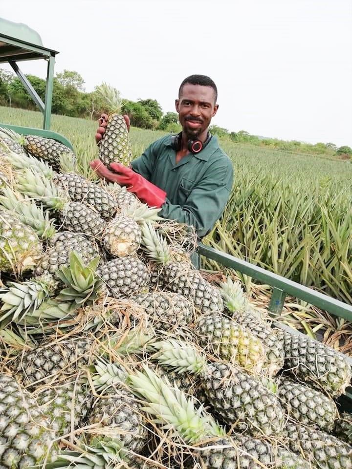 Egyam and Otchere's thought...Increasing access to finance for agribusinesses