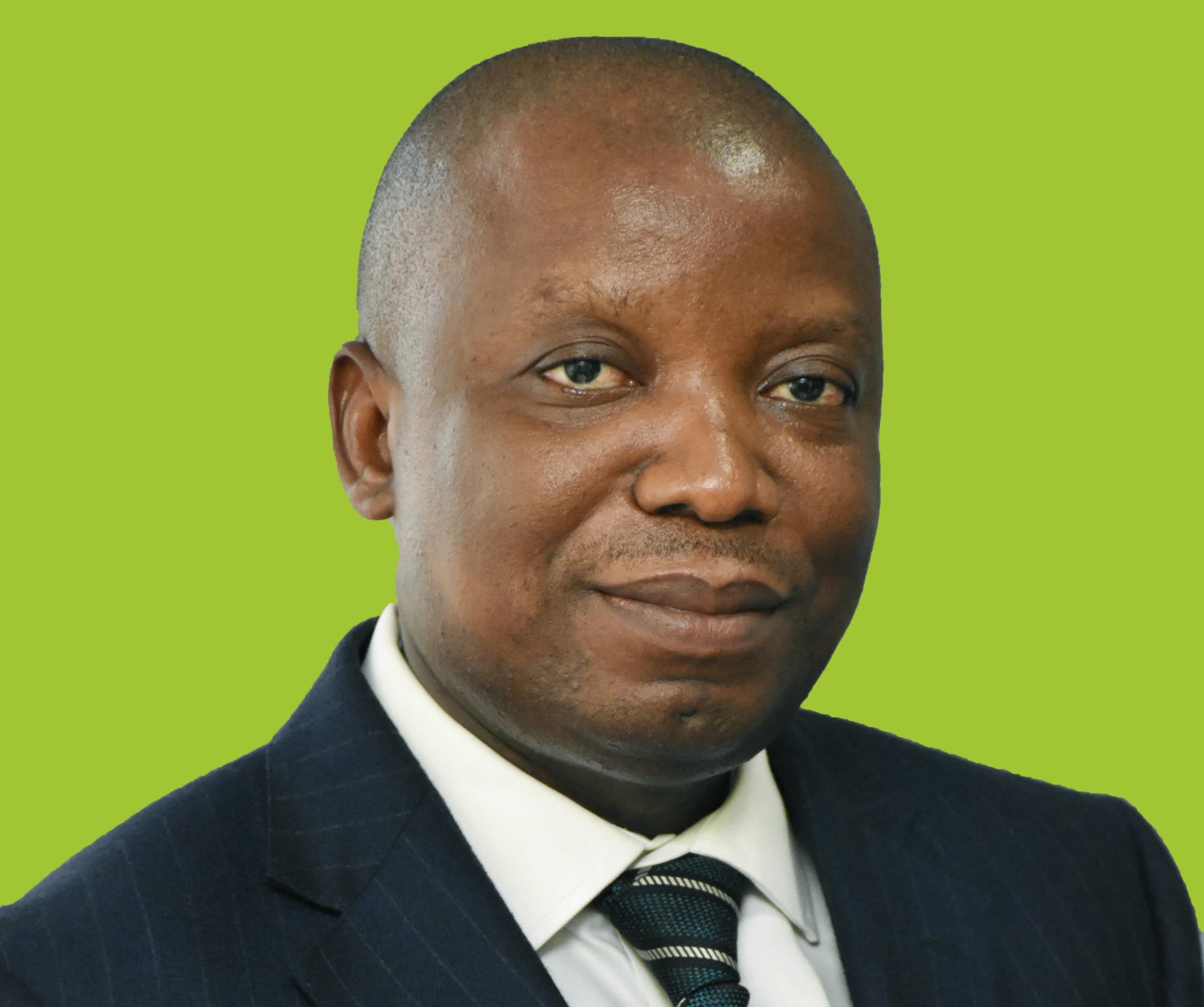 CARES can adversely affect debt stock if not properly managed – Deloitte cautions
