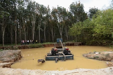 GREL to lose €550,000 investment as illegal miners encroach on rubber plantation