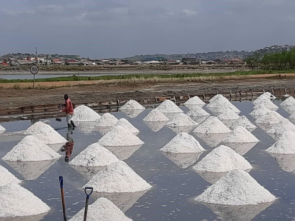 Panbros Salt Industries disturbed over construction of cement factory near concession
