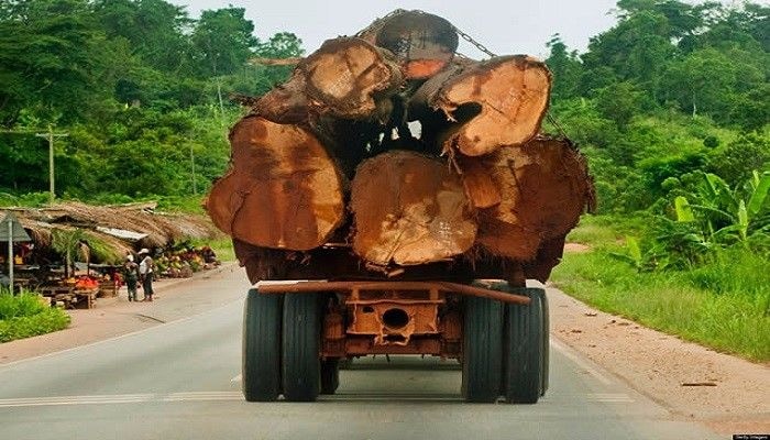 CSOs push for timber FLEGT license before end of 2020 