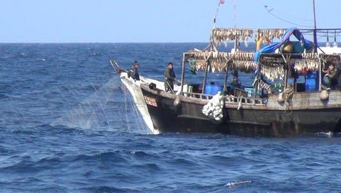Workers report appalling abuse aboard Chinese-owned fishing vessels