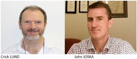 Super-charging the African economic recovery from COVID-19: Investing in mental health