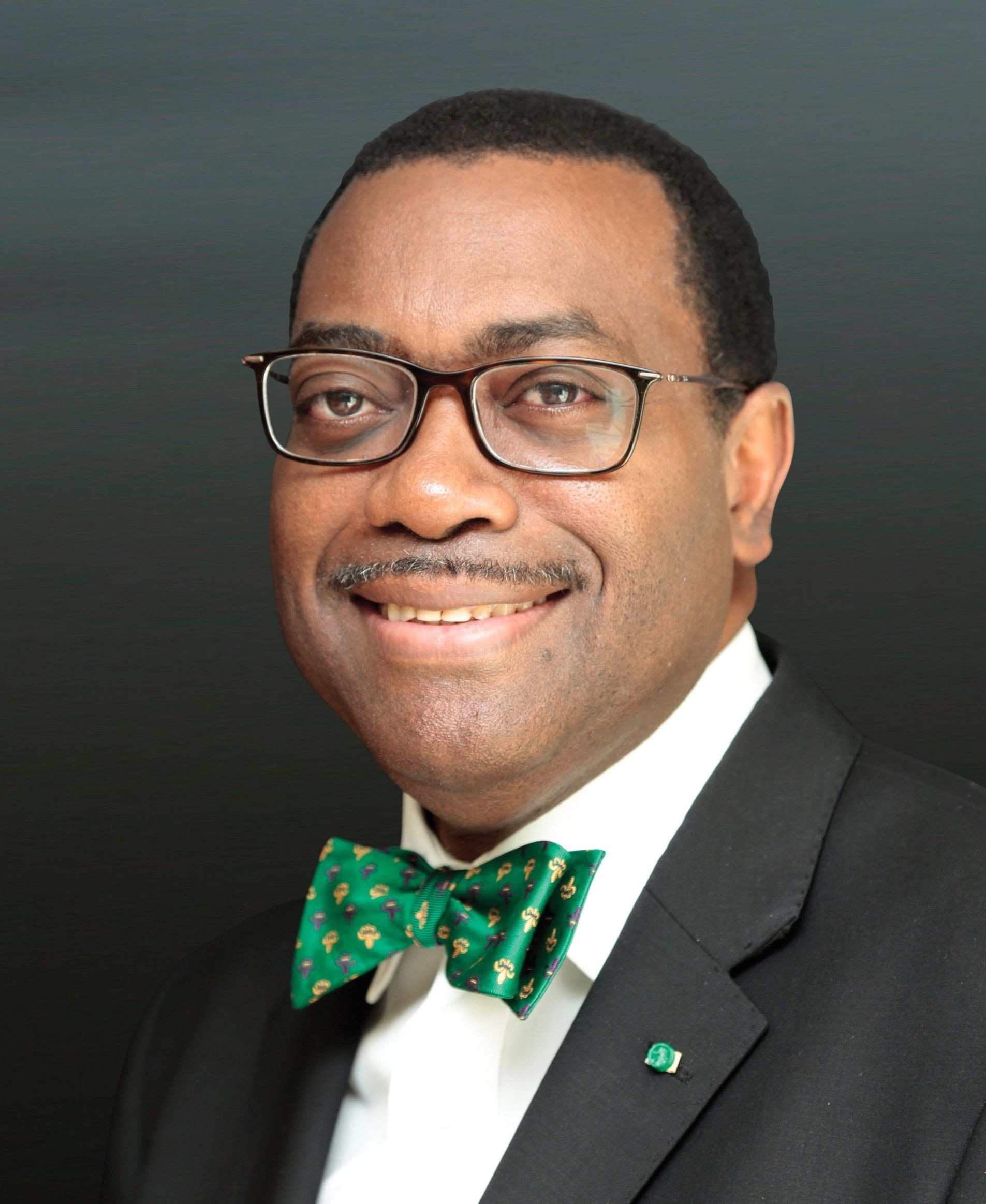 Africa must risk capital for its youth - Adesina urges