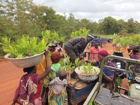 Greening agricultural produce for people and the planet: … the story of a Social Entrepreneur