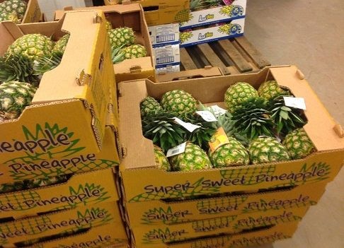 Restore our export licences or we go through Lome  – Fruit exporters to GPHA