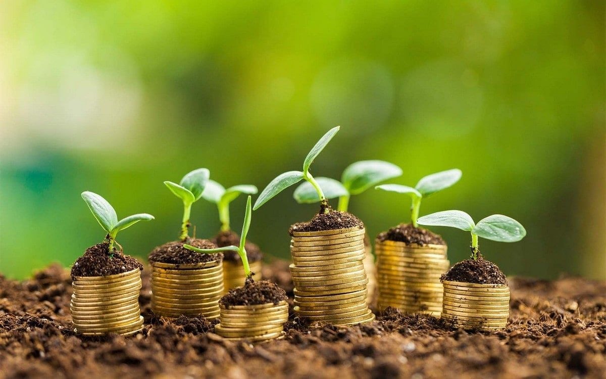 Green business competition opens applications