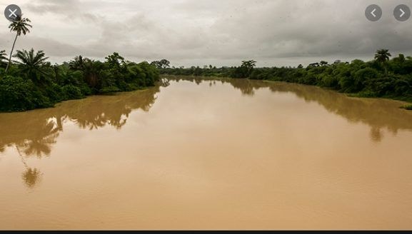Corporate Poet: Save our water bodies