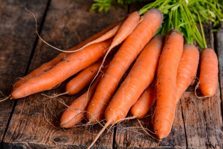 Let’s Go Farming: Growing carrots  How to plant, grow and harvest carrots