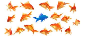 Show and Tell– How to make your product or service stand out!