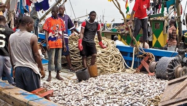 Editorial: Sustainability of fisheries sector crucial