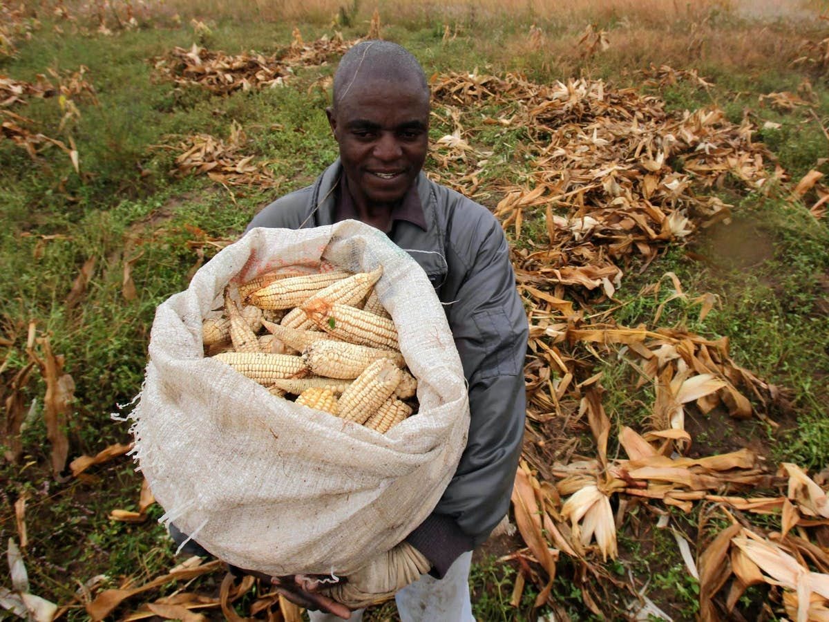 Delays at checkpoints contributing to post-harvest losses, high cost of food
