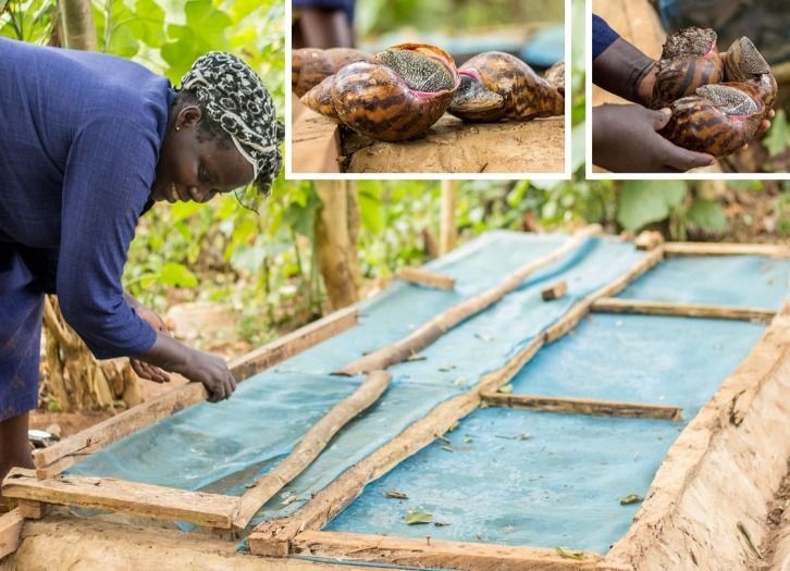 Plan Ghana, Global Affairs Canada, empowers rural women in Ghana