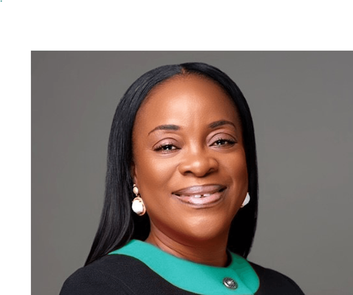 Sylvia Inkoom assumes office as First National Bank CEO