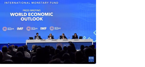 Build stronger policy buffers against global shocks - IMF