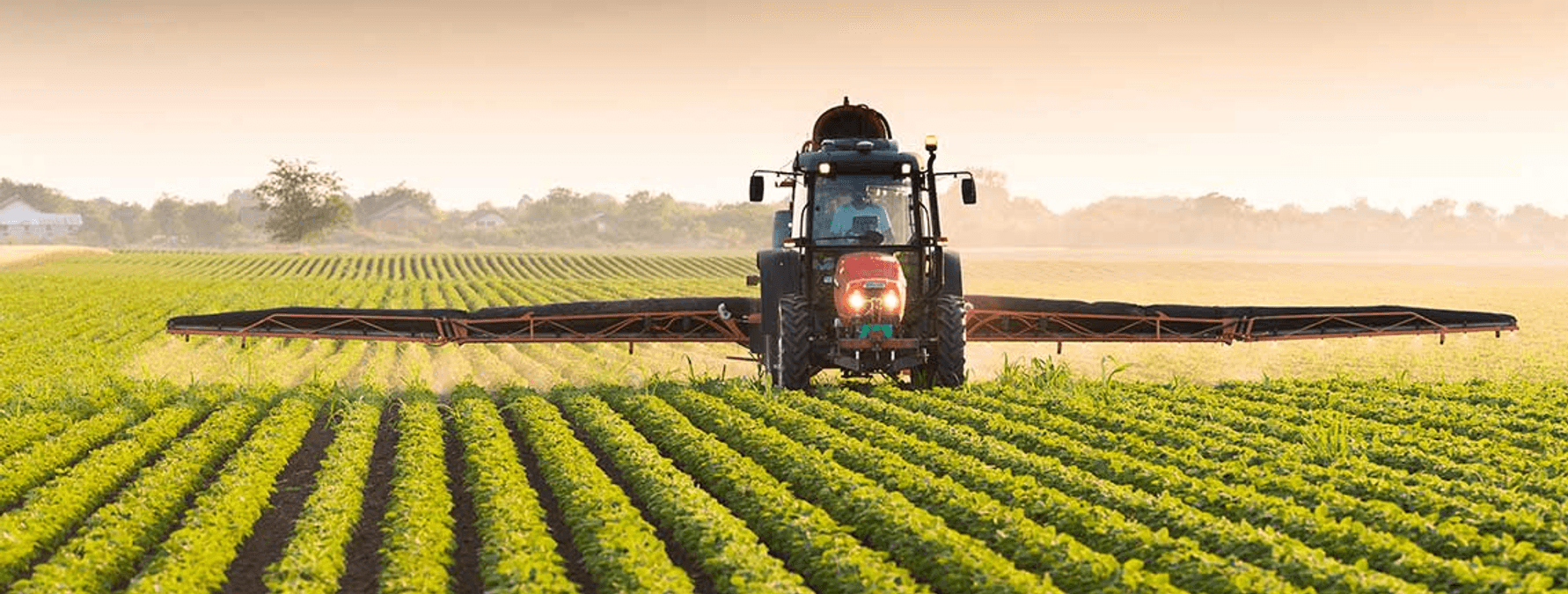 Bridging the Market Gap: Aligning skills training with modern agricultural job pathways