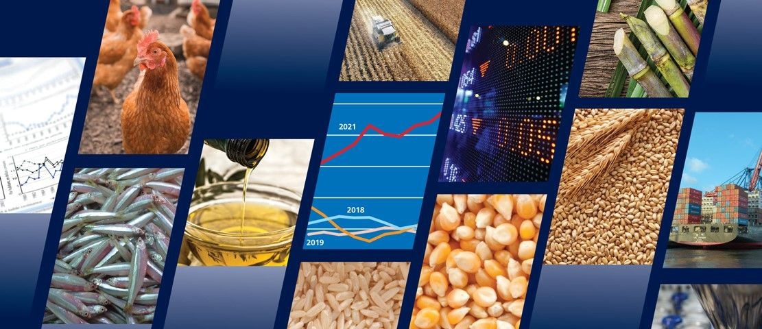 World food import bill to reach a record high in 2021