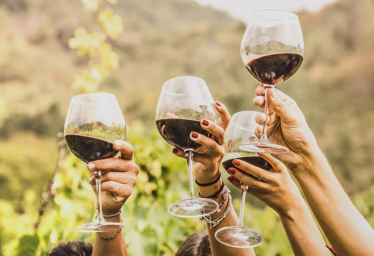 A beginner’s guide to Italian wine