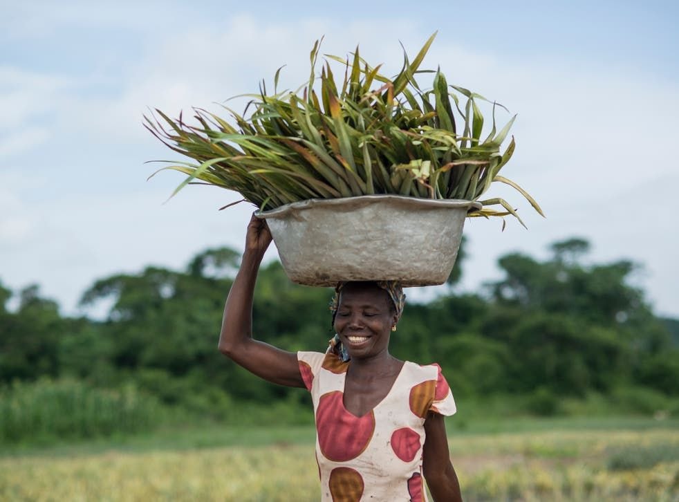 Why support Africa’s small farmers?