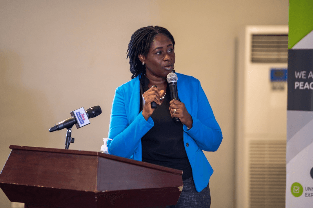 New pensions investment directive requires low interest rate to work – economist