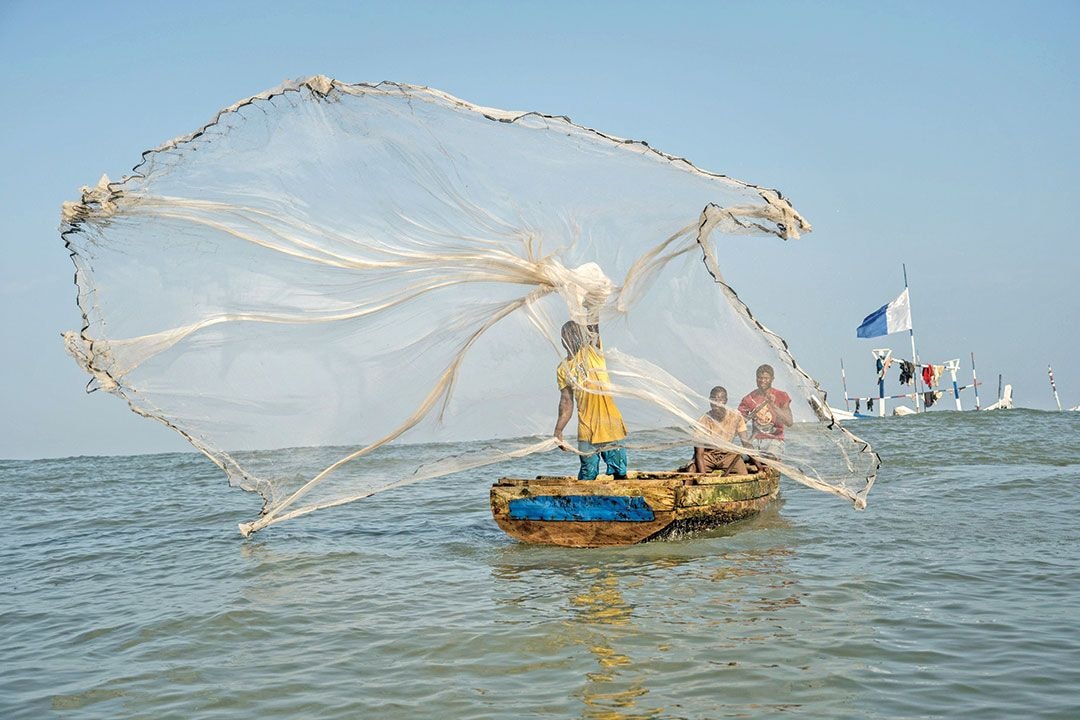 Global impact of illegal fishing and human rights abuse revealed