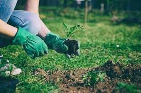 Cultivate more gardens to protect earth and health - Ghana Garden And Flower Movement
