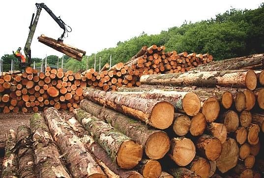 Cabinet action ends 25 year-old quest for legal timber in Ghana