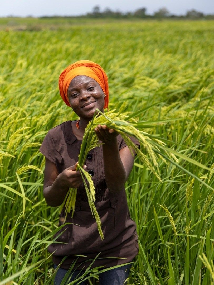 Olam Agri - Driving local rice production agenda