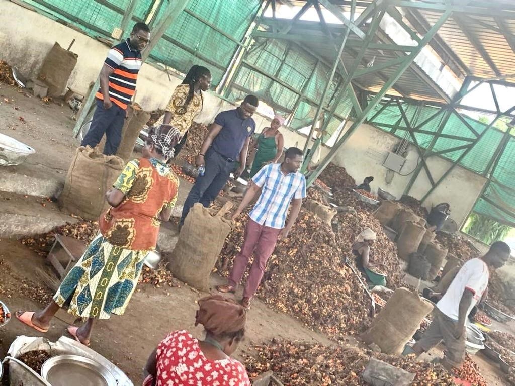 Shippers’ Authority visits oil palm and wood exporters in Eastern Region