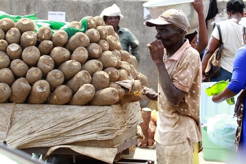 Yam exports reach record high