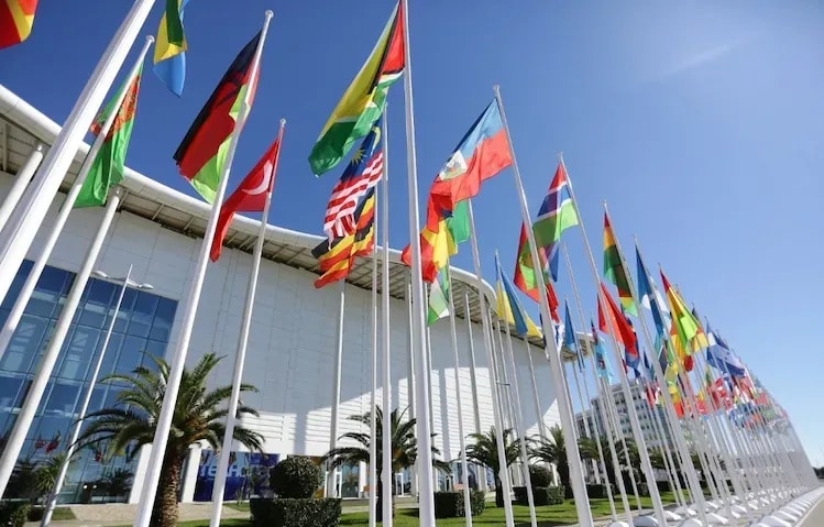 Russian-African Club discusses humanitarian aspects of cooperation