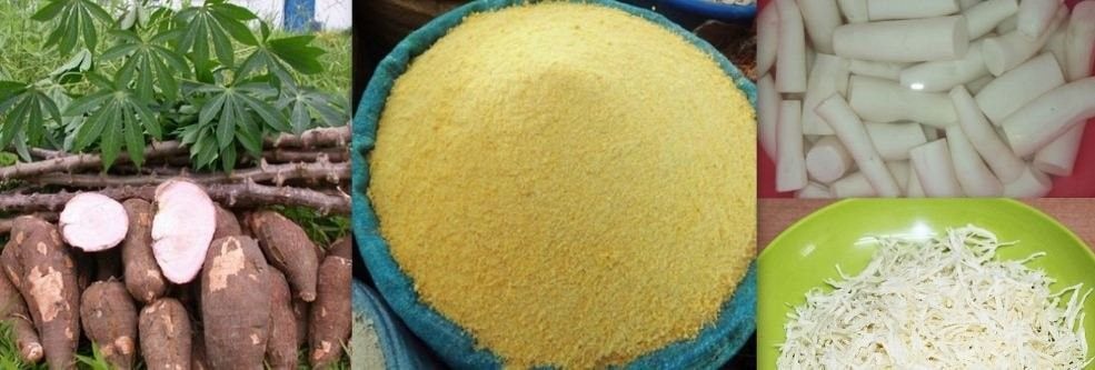 Gari, Abgelikaklo fight constipation, stimulate red blood cells, boost immunity