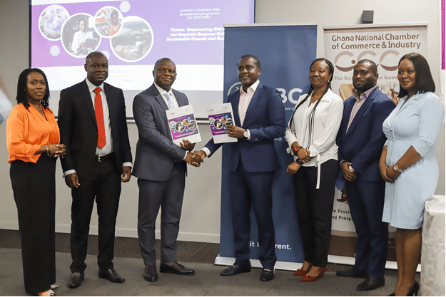 Dev’t Bank aids SMEs scale funding hurdle