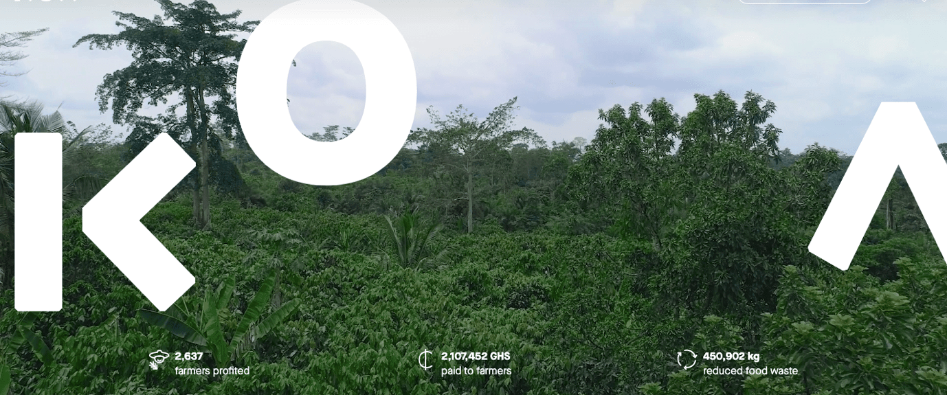 KOA'S business exploits in the cocoa sector (2)