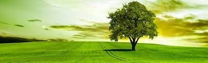 Karma and reincarnation