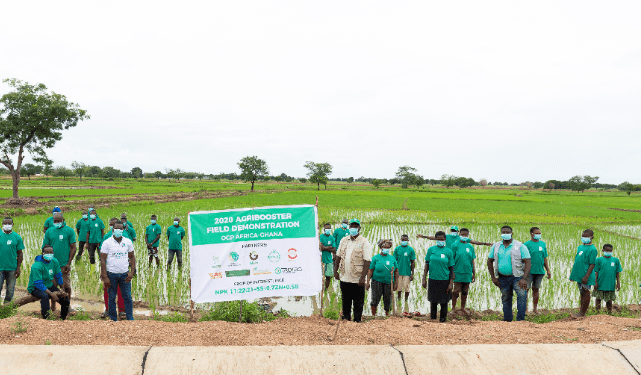 OCP Africa to use field demonstrations to educate farmers